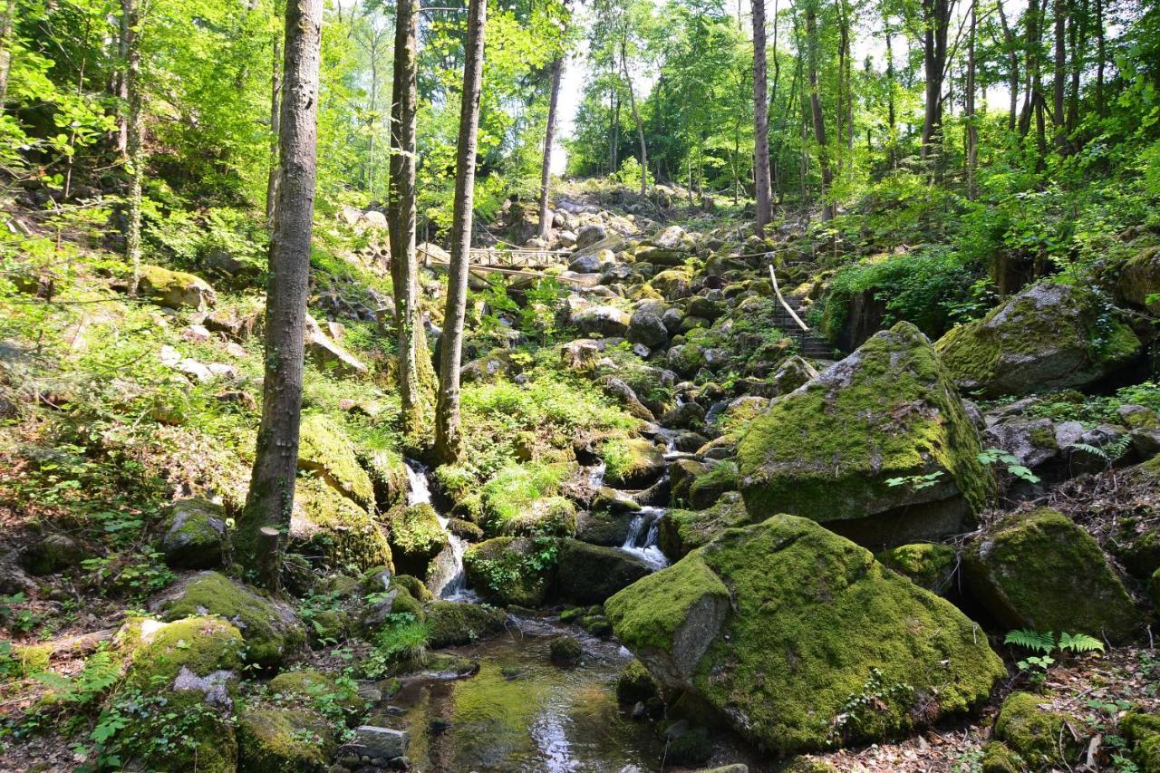 Relaxhotel Tannenhof Sasbachwalden Luaran gambar