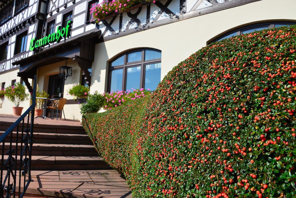 Relaxhotel Tannenhof Sasbachwalden Luaran gambar